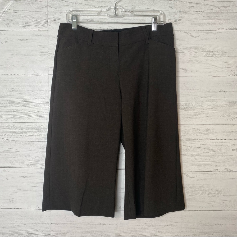 🌈 Express design studio cropped slacks size 10